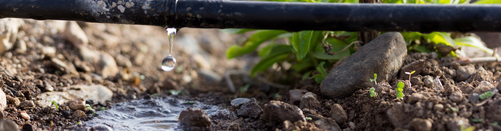 Cursos de Agricultura